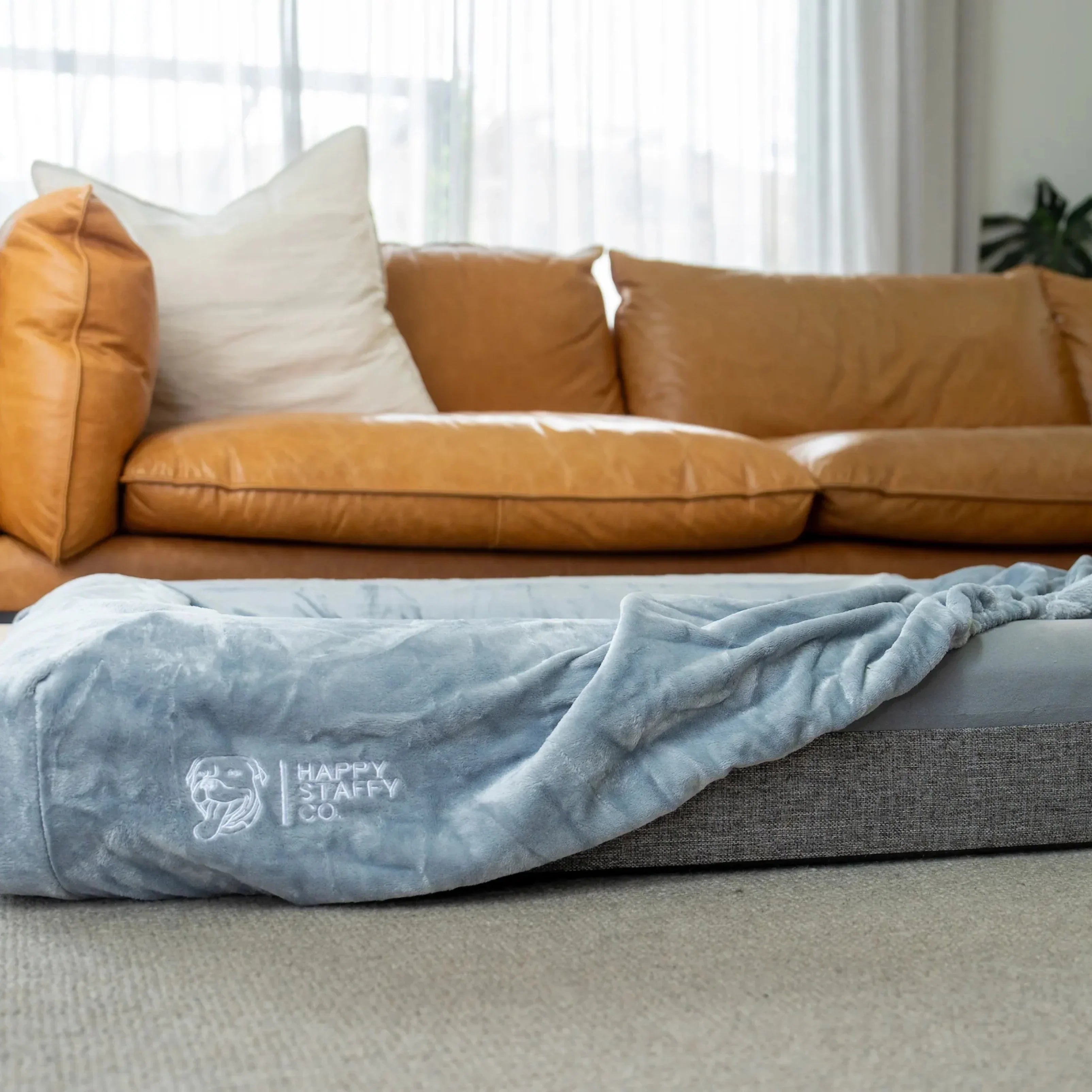 The Role of Orthopedic Beds in Post-Surgery Recovery for Dogs