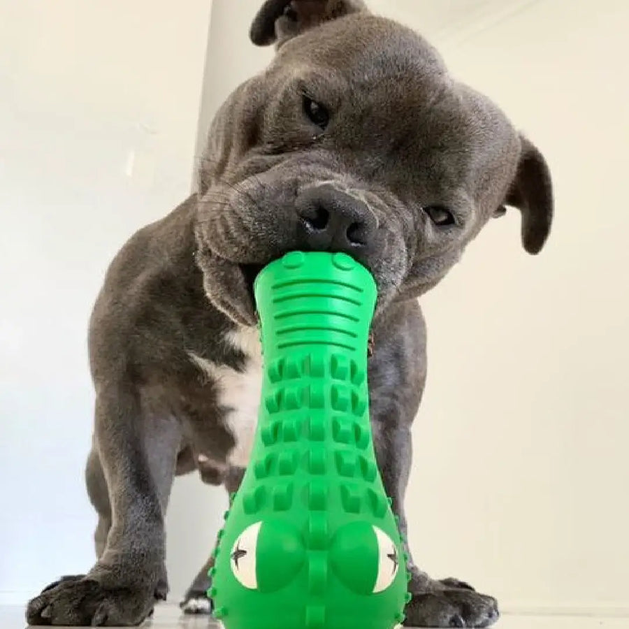 Crocodile Dental Chew photo 8