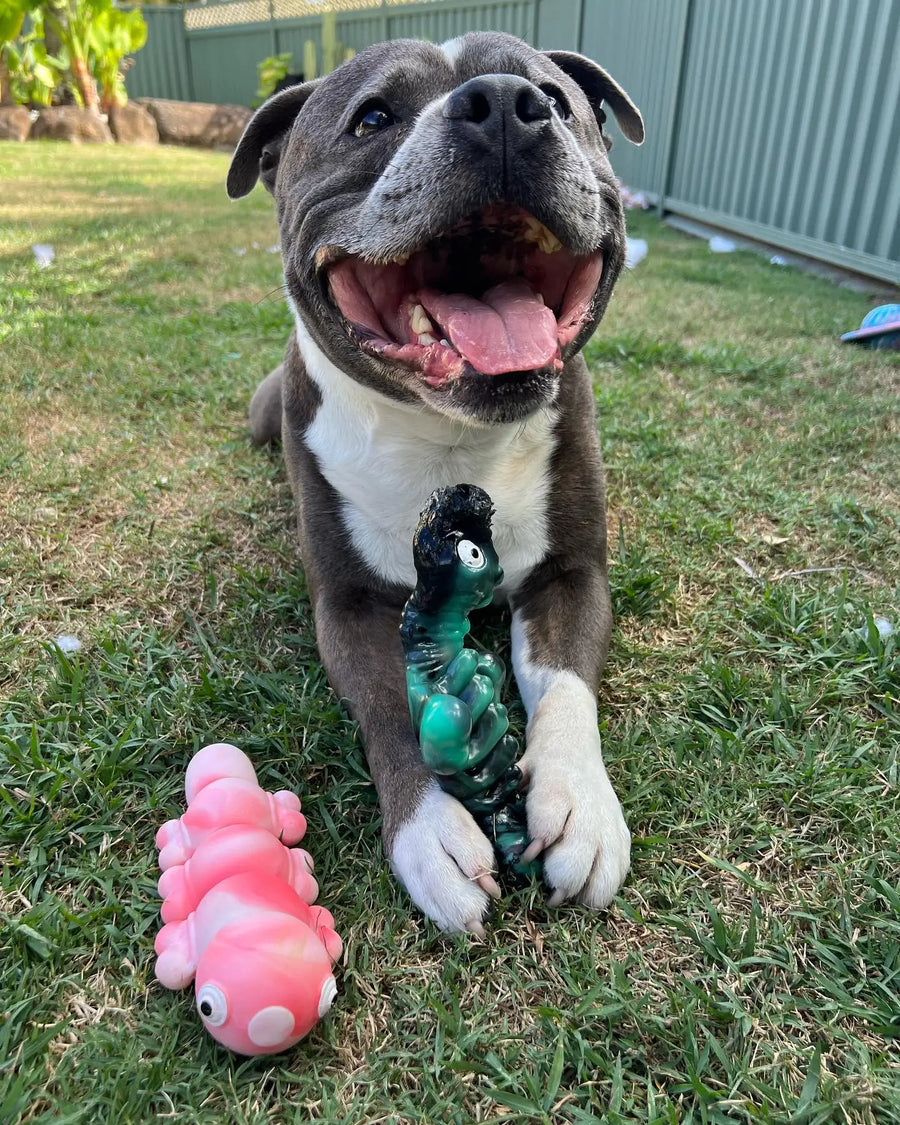 Chewzilla Sea Chomper photo 3