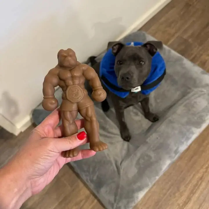 Staffy Balboa photo 8