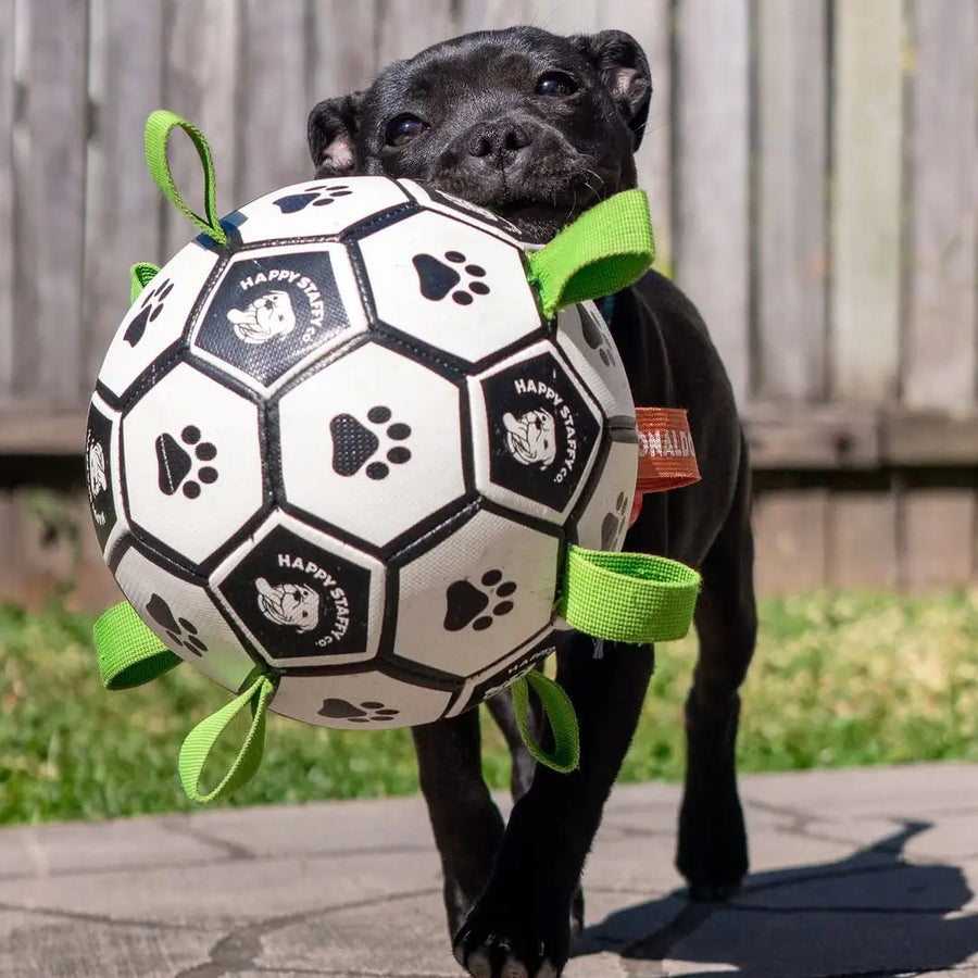 Ronaldog Soccer Ball photo 2