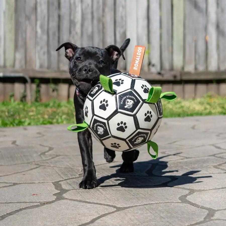 Ronaldog Soccer Ball photo 4
