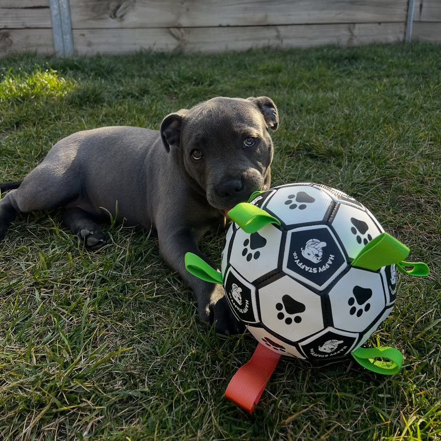 Ronaldog Soccer Ball photo 3