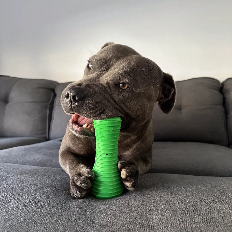 Crocodile Dental Chew photo 5