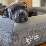 Deluxe Orthopedic Memory Foam Bed