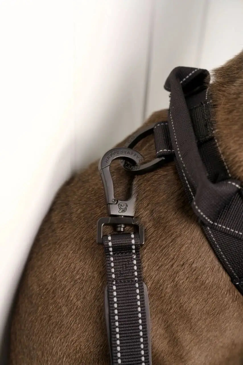 Anti Shock Bungee Leash photo 4
