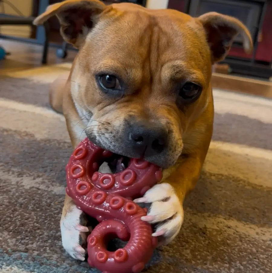 Chewzilla® Deep Sea Mission photo 2
