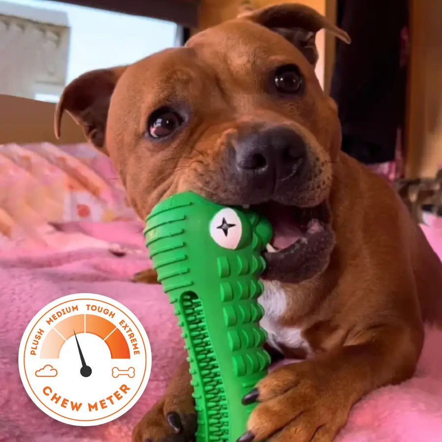 Crocodile Dental Chew photo 1