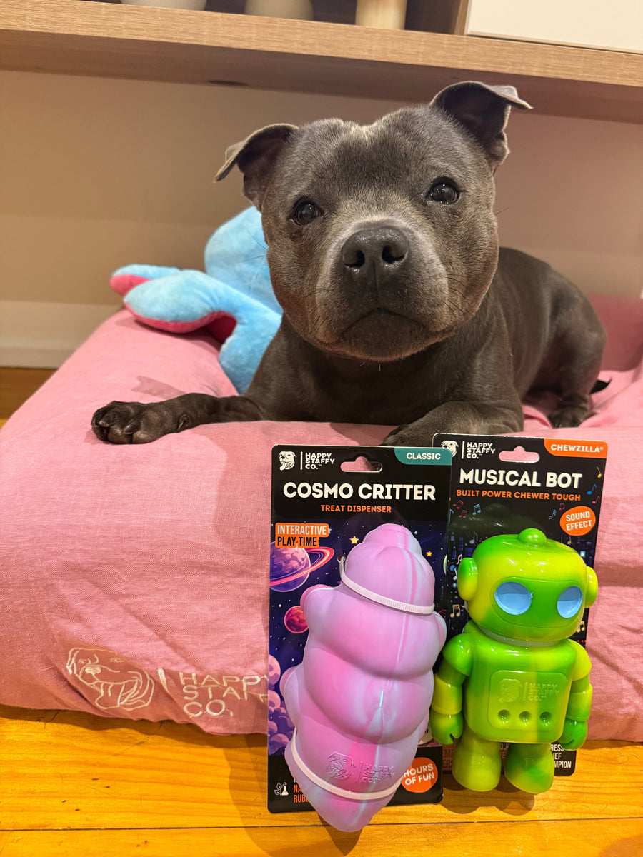 Cosmo Critter photo 4