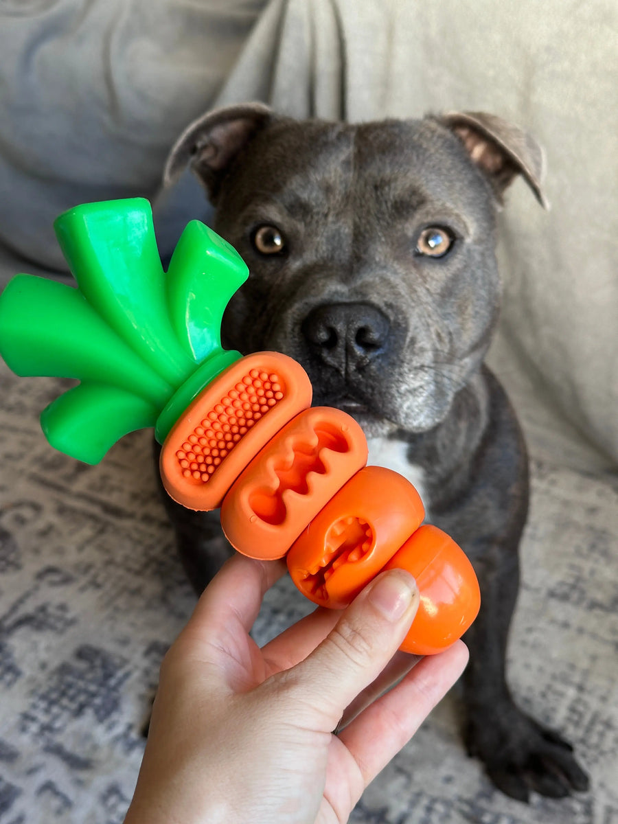 Chomp Carrot photo 3