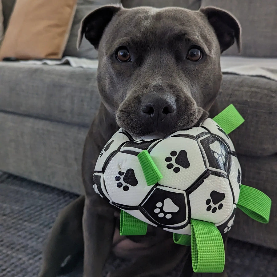 Ronaldog Soccer Ball photo 7