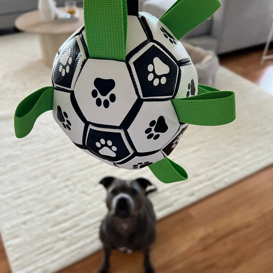 Ronaldog Soccer Ball photo 5