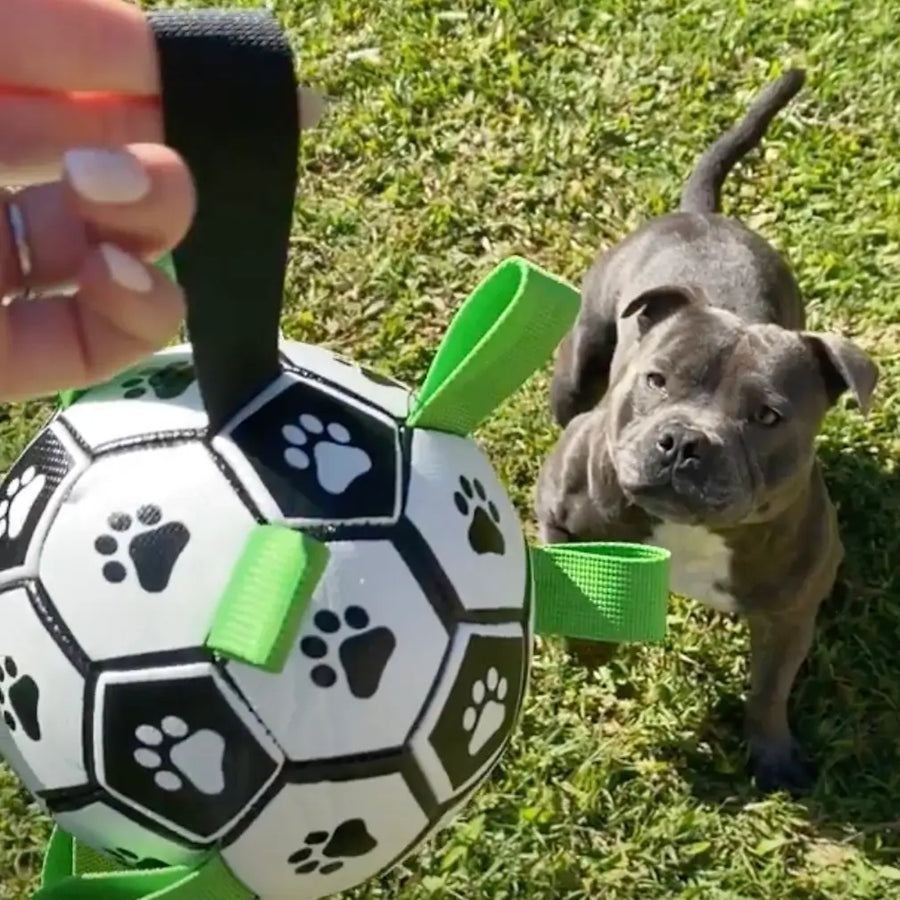 Ronaldog Soccer Ball photo 6