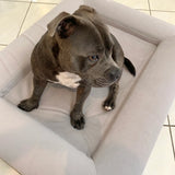 Deluxe Orthopedic Memory Foam Bed
