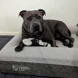 Deluxe Orthopedic Memory Foam Bed