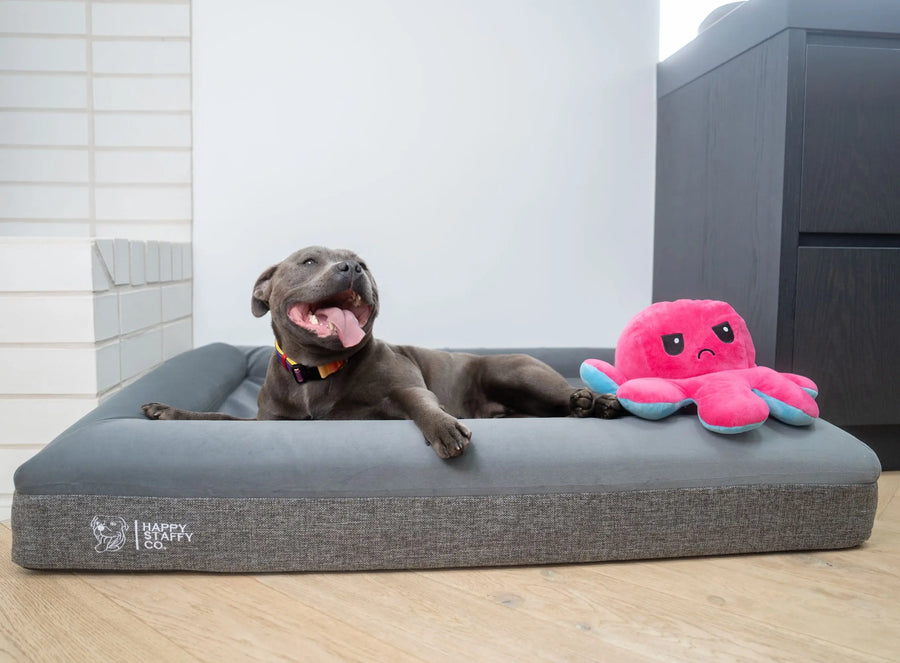 Deluxe Orthopedic Memory Foam Bed photo 5