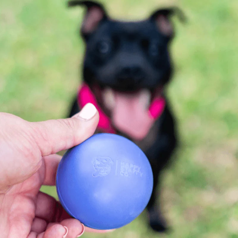 Happy Staffy Duraball photo 3