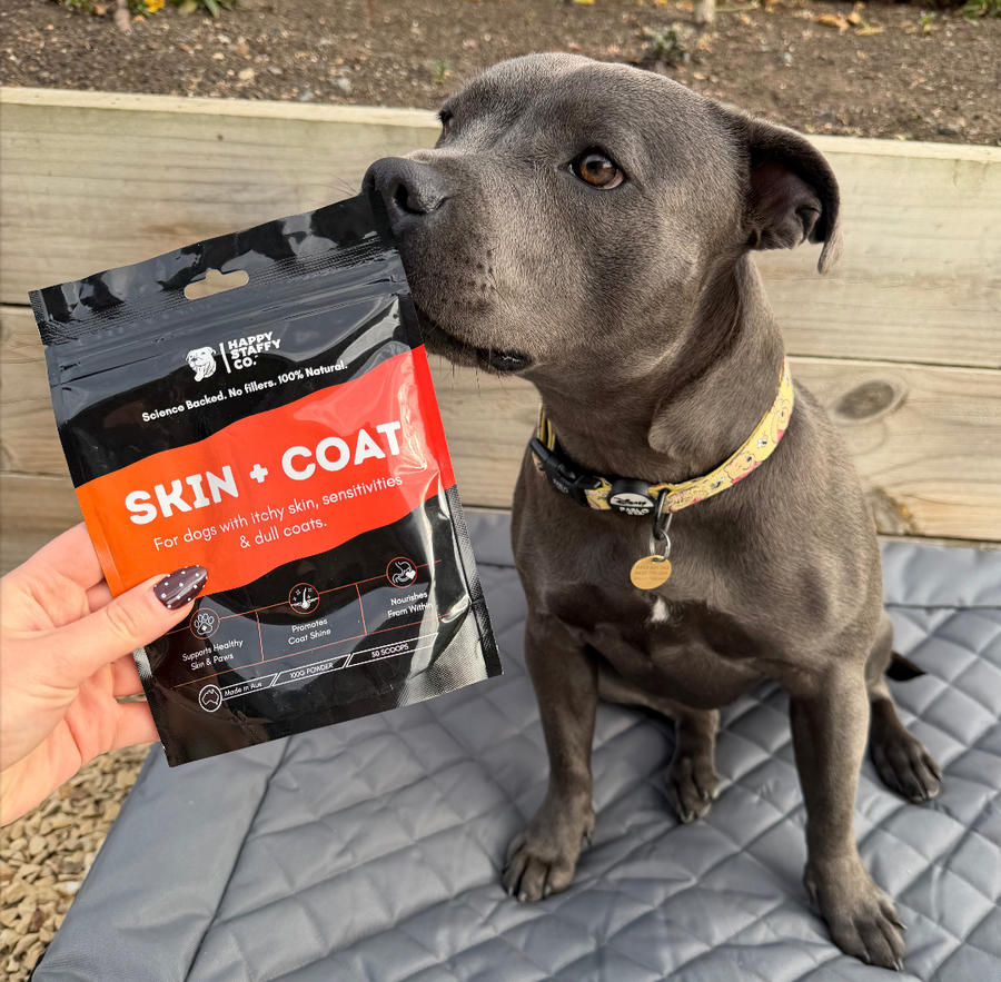 Skin & Coat Supplement photo 10
