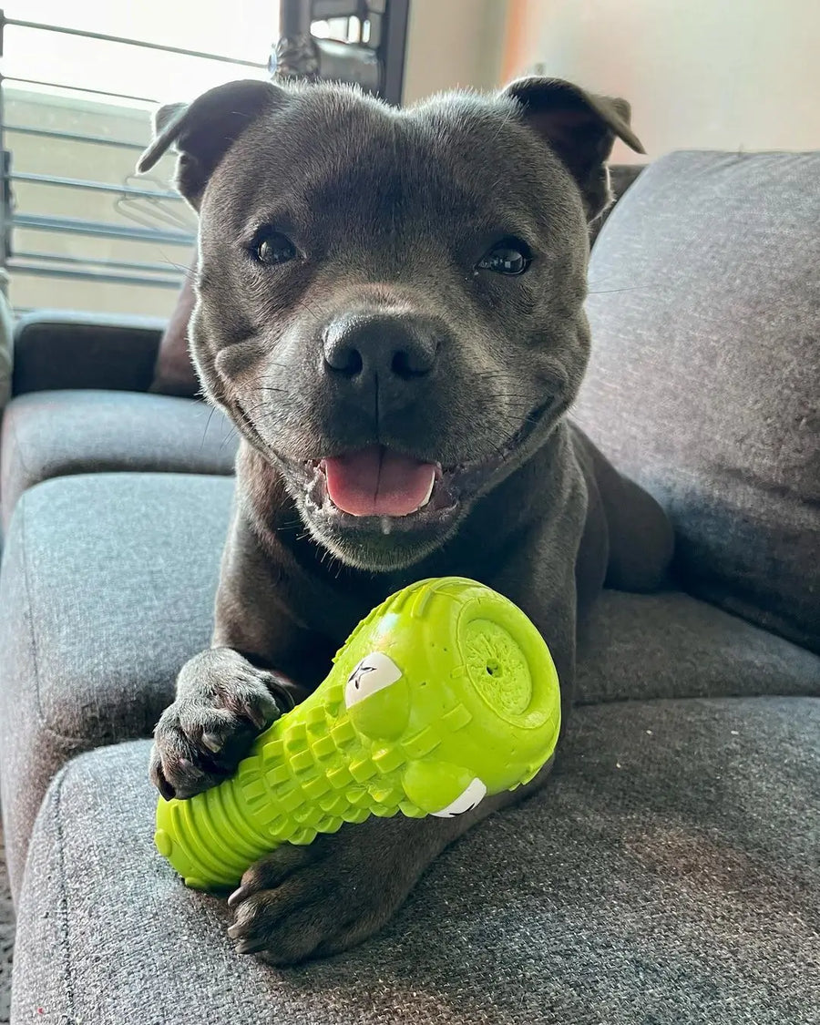 Crocodile Dental Chew photo 2
