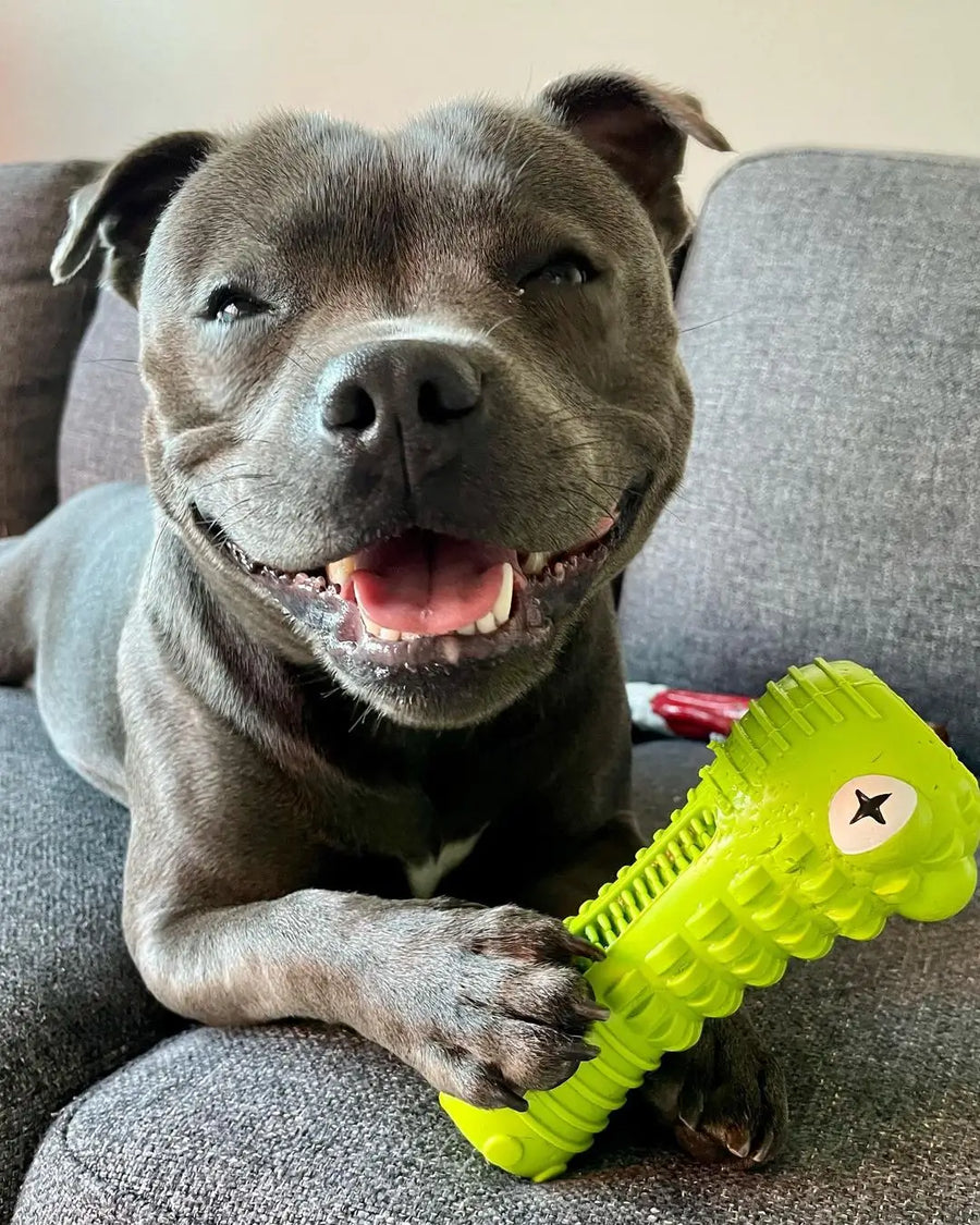 Crocodile Dental Chew photo 6