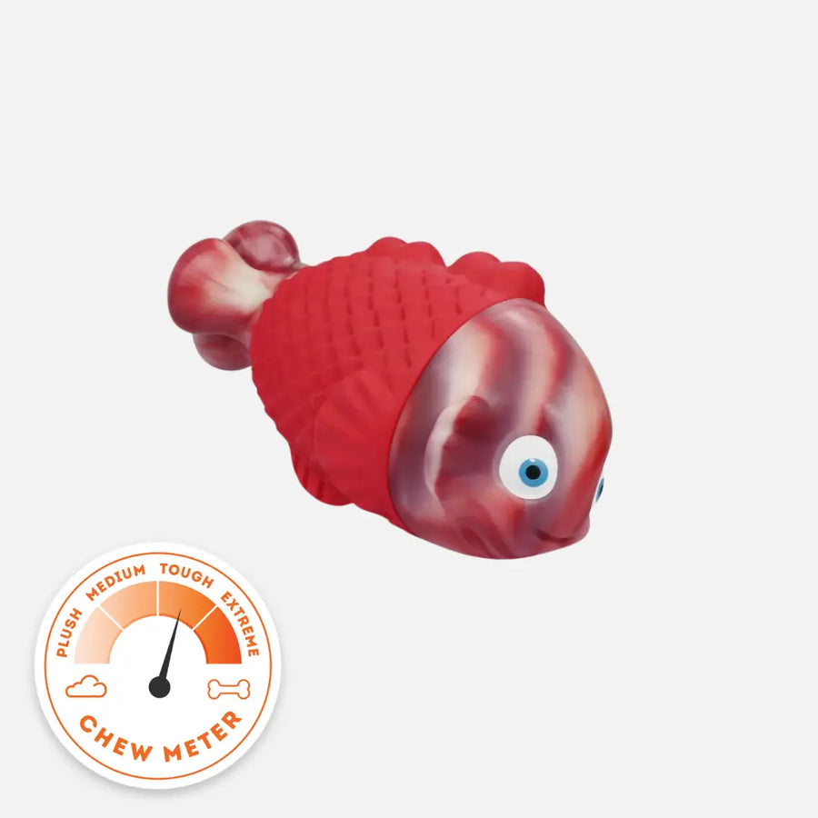 Squeaky Fish photo 1