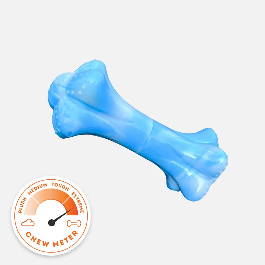 Chewzilla Musical Bone photo 1