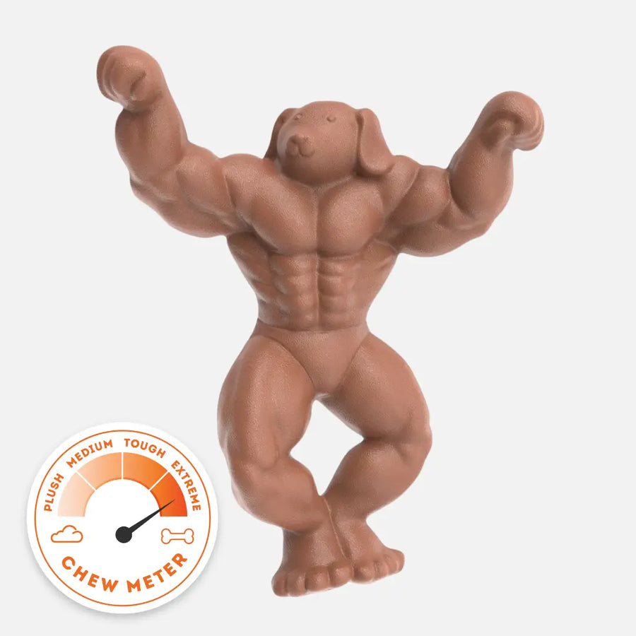 Staffy Schwarzenegger photo 1