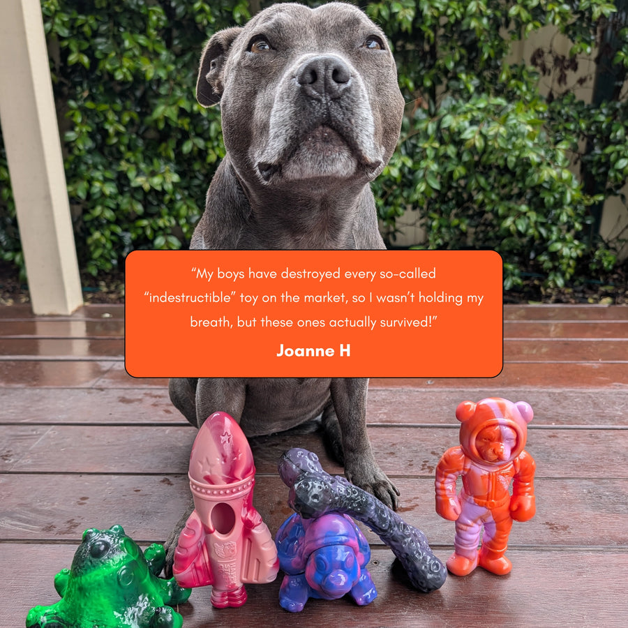 Chewzilla Galactic Quest Collection photo 9