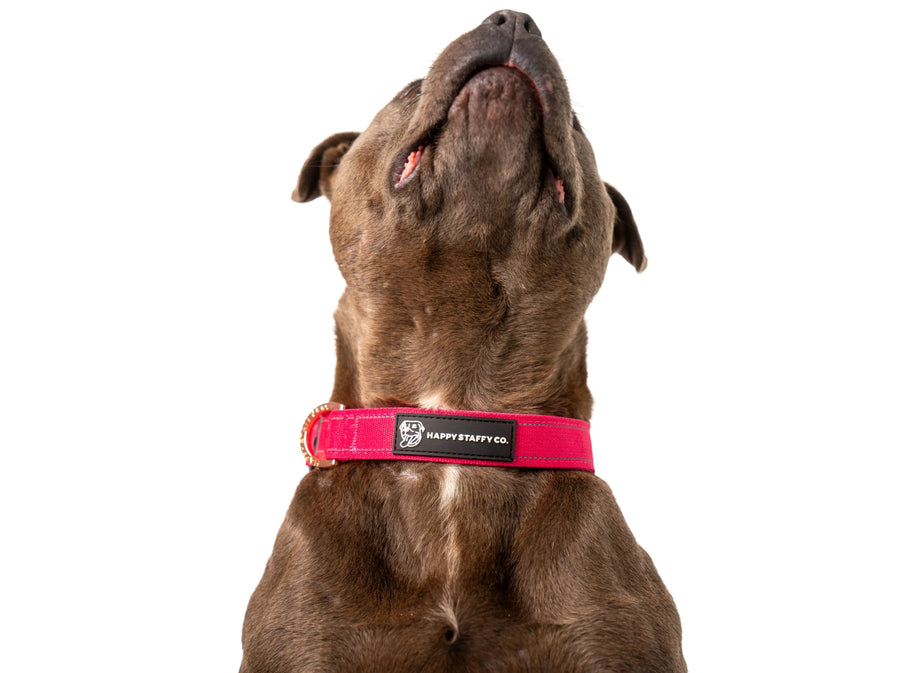 Durable Collar photo 10