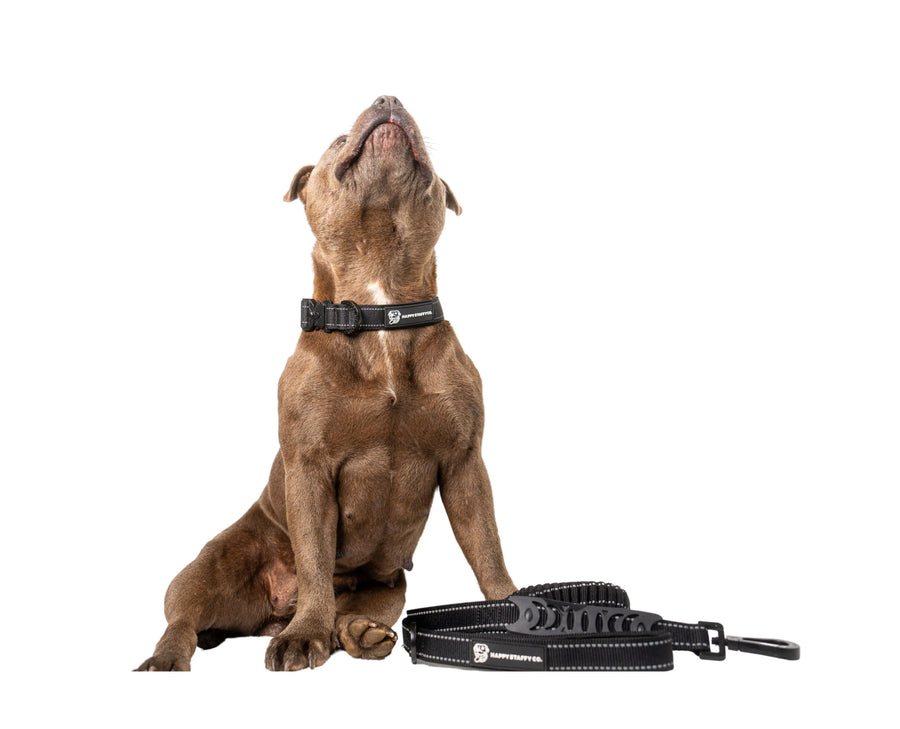 Walkies Starter Pack photo 3
