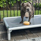 Chew-Proof Outdoor Bed