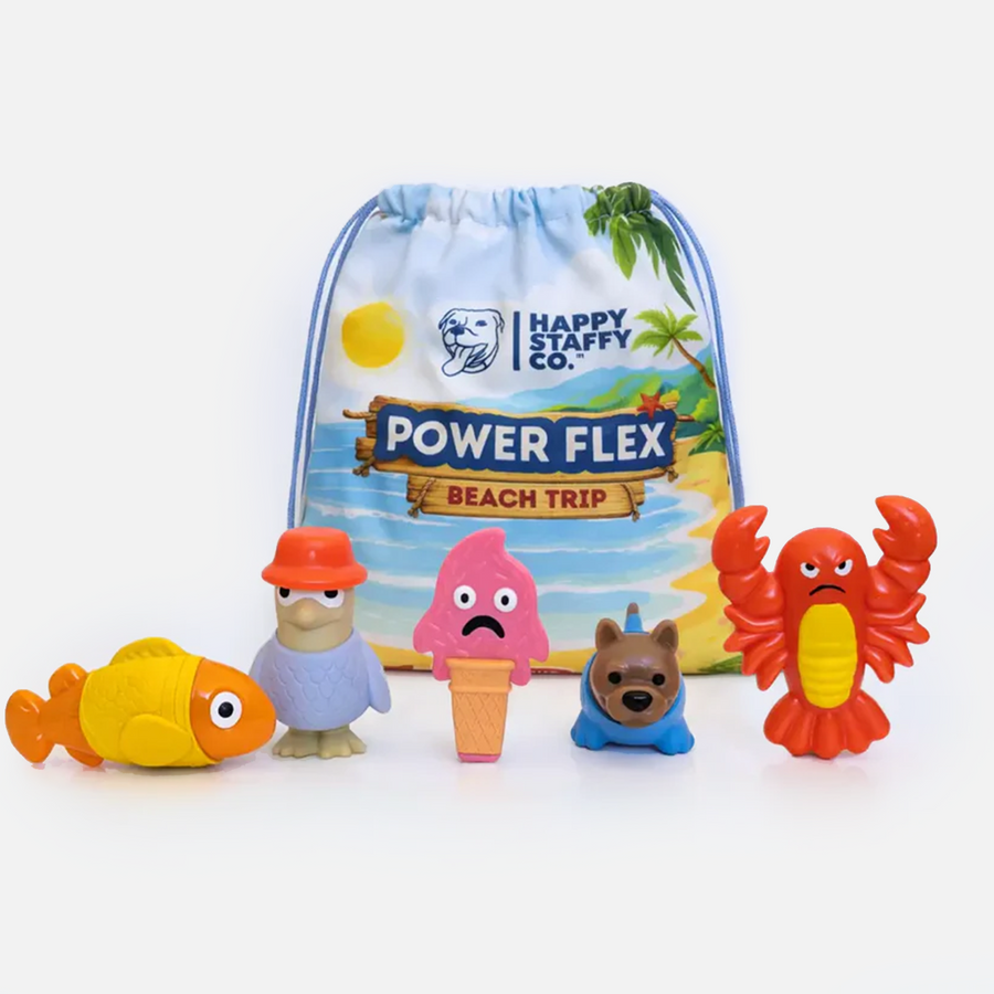 PowerFlex™ Beach Trip photo 1