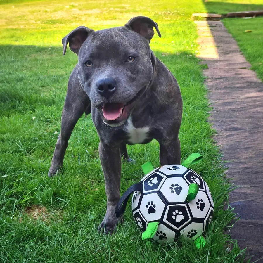 Ronaldog Soccer Ball photo 8