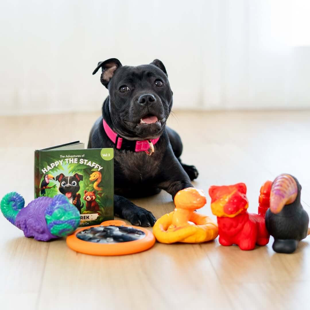 Tough dog toys for power chewers