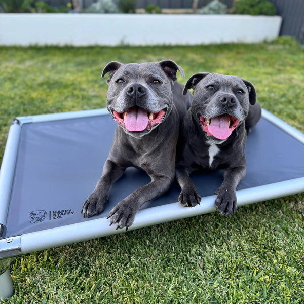 Comfort Beds