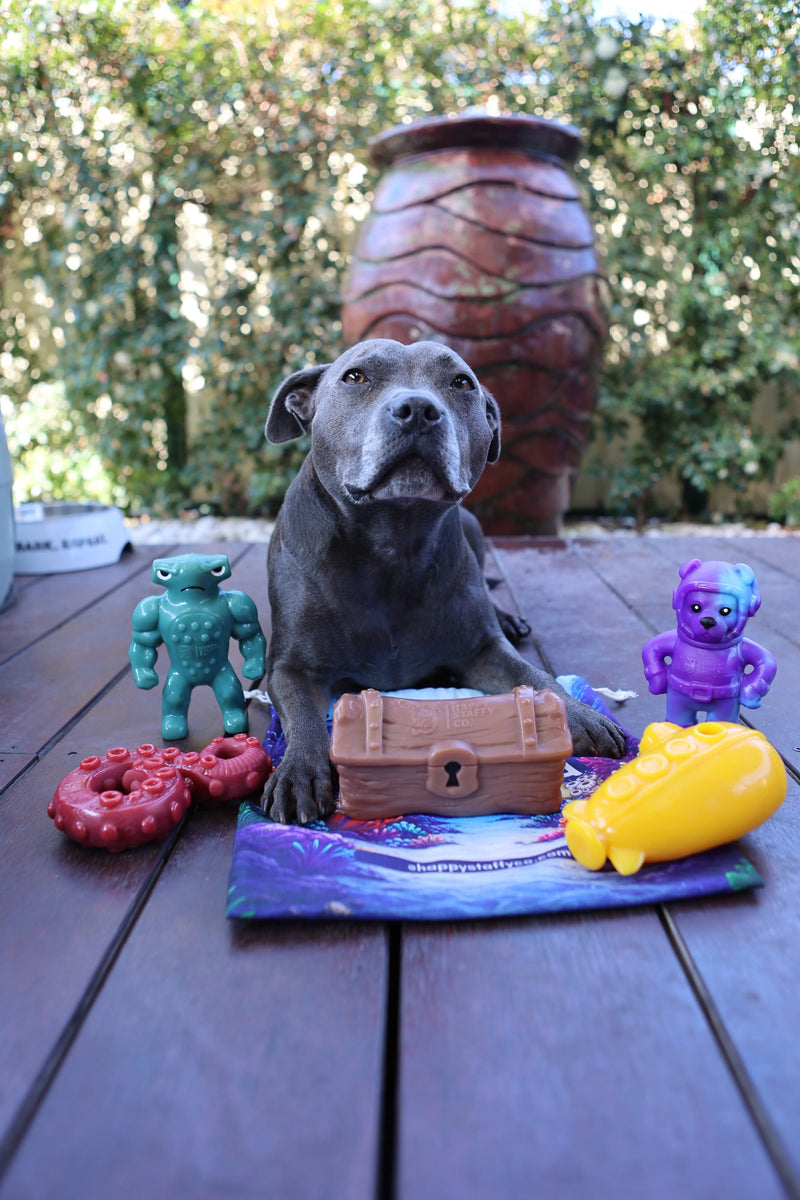 Unboxing new Chewzilla® Deep Sea Mission