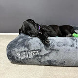 Orthopedic Memory Foam Bed + Pullover Blanket Cover