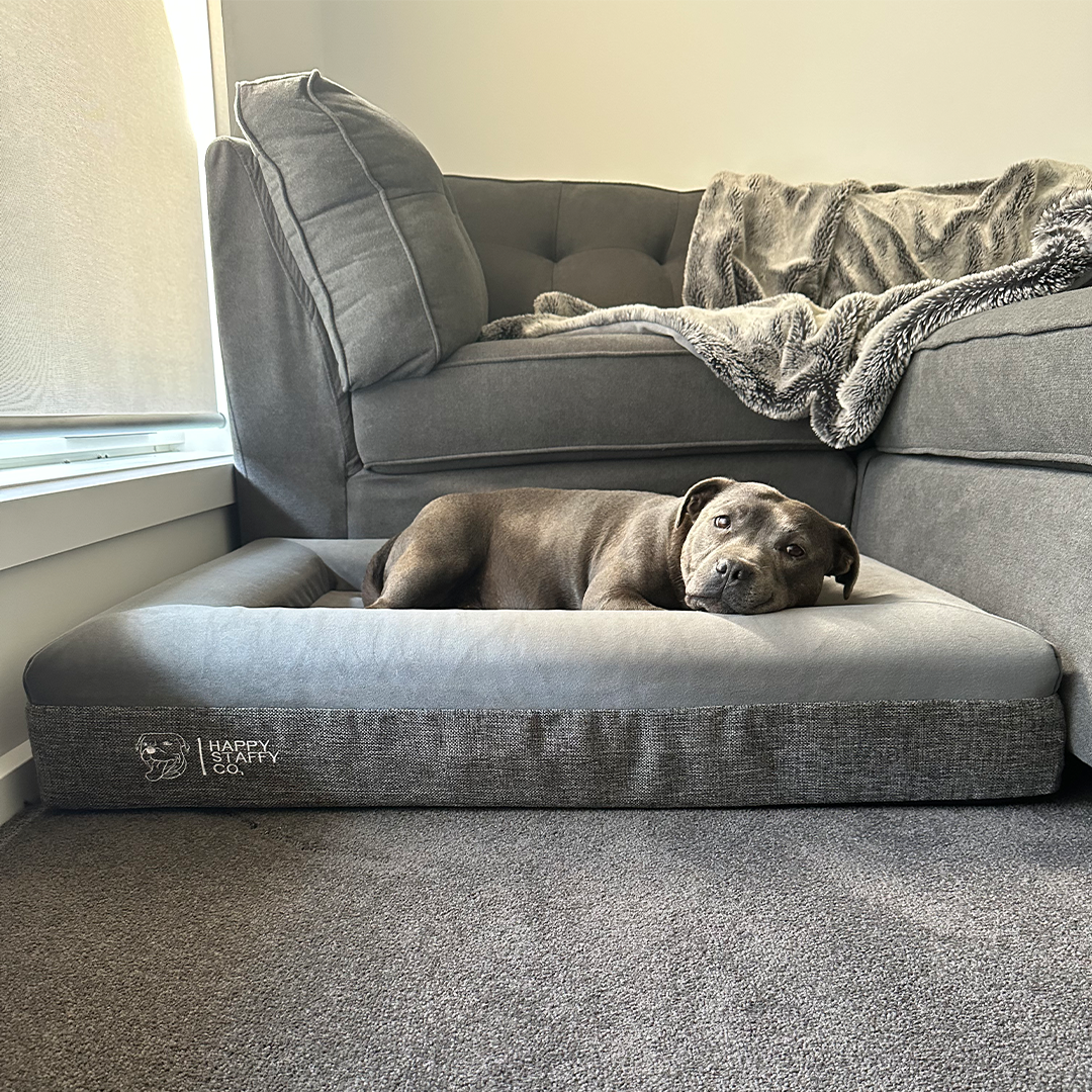 Deluxe Orthopedic Memory Foam Bed