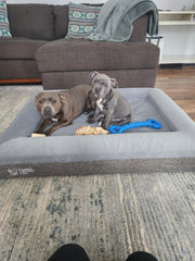 Deluxe Orthopedic Memory Foam Bed