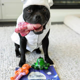 Chewzilla Galactic Quest Collection