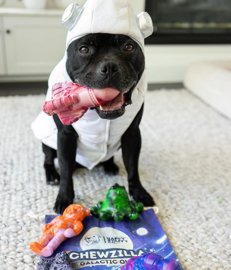 Treat & Toy Combo (Chewzilla®)