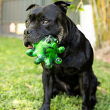 Chewzilla Galactic Quest Collection