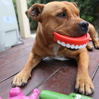 Chatter Chompers
