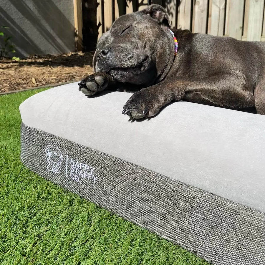 Deluxe Orthopedic Memory Foam Bed photo 9
