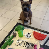 Chewzilla Collection