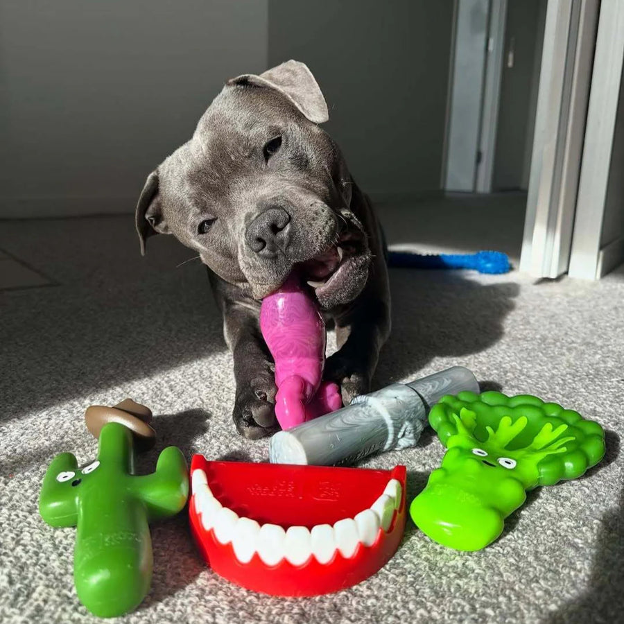 Chomp-o-potamus