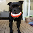 Chatter Chompers
