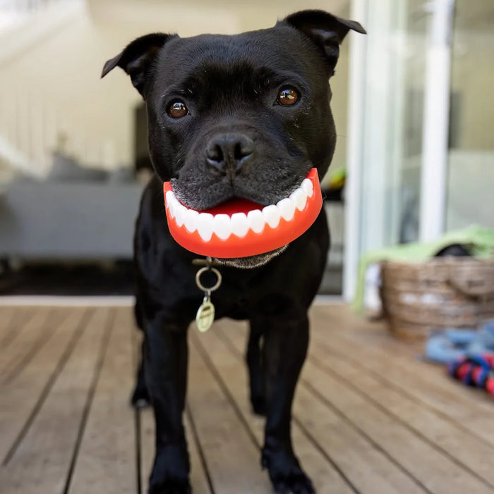 Chatter Chompers. Nobody warned the neighbors.