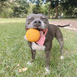 Happy Staffy Duraball