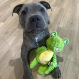 Classic Toy Collection